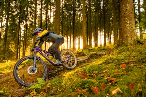 MTB Coaching bei Sonnenuntergang – Bikeschule Winterberg